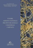 FUNORI, ADESIVO NATUALE, PITTURE MURALI, MATERIALI CARTACEI
